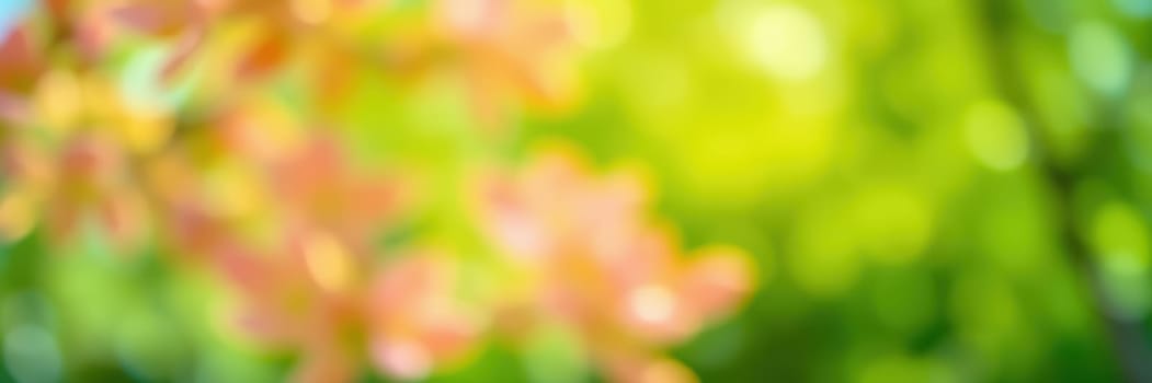 Vibrant autumn leaves in shades of orange and red contrast with a soft green background, showcasing the beauty of nature during the fall season in a tranquil setting.