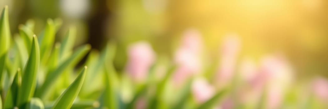 Soft sunlight bathes a garden filled with lush green grass and delicate flowers, showcasing the beauty of springtime. The scene exudes tranquility and fresh beginnings.