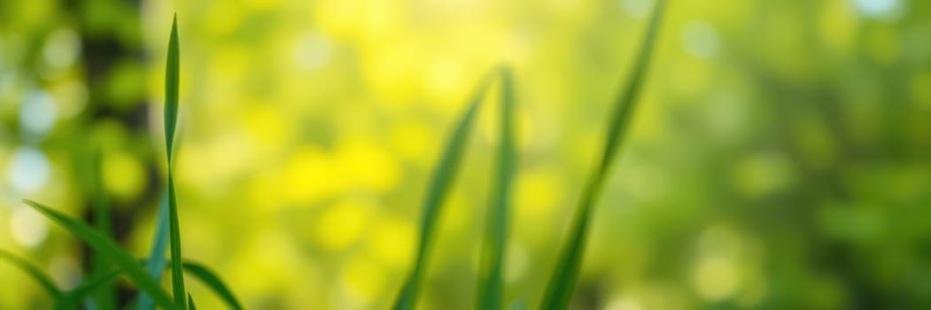 Vibrant green blades of grass dance softly in the warm sunlight, capturing the tranquility of a spring day in a lush outdoor setting, filled with life and brightness.