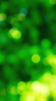 Sunlight filters through vibrant green leaves, creating a serene environment in a lush garden. The vivid hues form a calming and inviting atmosphere, perfect for relaxation.