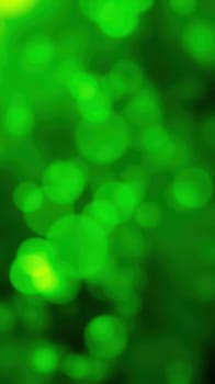 Vivid green bokeh lights create an enchanting atmosphere, capturing sunlight filtering through lush foliage in a tranquil outdoor environment.