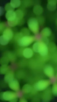 Sunlight filters through a dense canopy of leaves, casting a vibrant green hue throughout the forest. The scene captures the essence of spring with fresh foliage.