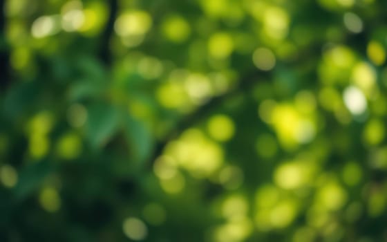 Sunlight filters through lush green leaves, casting dappled light on the ground. The tranquil forest offers a refreshing escape into nature’s beauty.