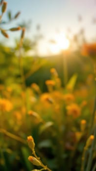 Sun sets over a peaceful meadow filled with blooming wildflowers. The golden light enhances the vibrant colors, creating a tranquil and picturesque atmosphere.