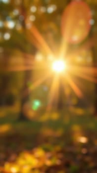 Sunlight streams through tree branches in a lush forest, creating a stunning display of golden rays. The tranquility invites peaceful walks and nature exploration.