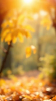 Leaves shimmer in golden tones as sunlight filters through the trees, creating a soft glow along a tranquil forest pathway in autumn.