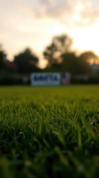 The lush green grass fills the foreground while a blurred backdrop reveals a park setting at sunset. The warm light creates a serene atmosphere, inviting relaxation.