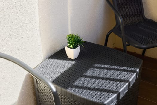 This modern outdoor setting features a small, lovely plant alongside stylish chairs that are perfect for relaxation