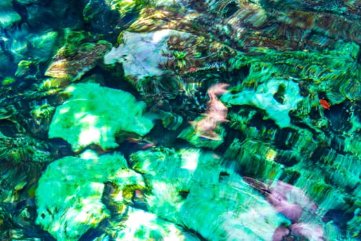 Beautiful Cenote Park Minotauro with limestone rocks turquoise blue green water and nature jungle around it in Xpu Ha Quintana Roo Mexico.