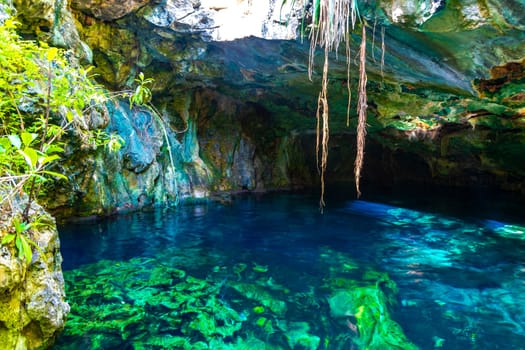 Beautiful Cenote Park Minotauro with limestone rocks turquoise blue green water and nature jungle around it in Xpu Ha Quintana Roo Mexico.