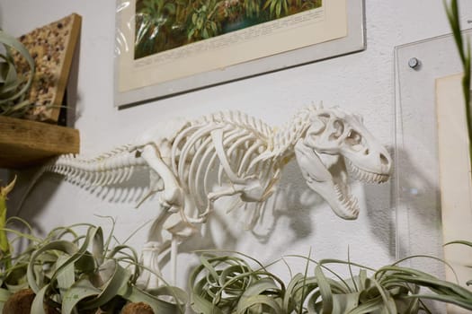 A stunning and detailed model of a dinosaur skeleton is beautifully showcased among vibrant plants and art pieces