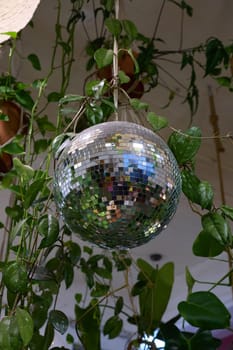 A dazzling disco ball elegantly hangs among the vibrant green plants, creating an incredibly lively atmosphere