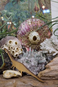 A captivating and vivid display that creatively combines a dinosaur model with an array of colorful fossils and shells
