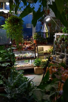 A vibrant greenhouse featuring a stunning display of diverse plants thriving under warm and inviting artificial light