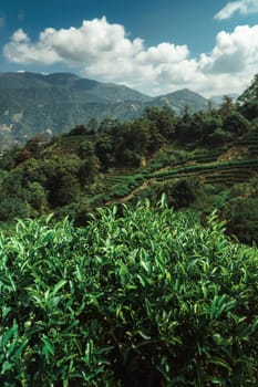 The breathtaking view of the lush green hills and the clear blue skies in this mountainous region is aweinspiring