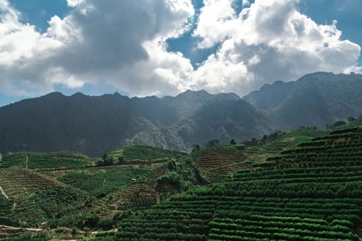A truly breathtaking view of terraced green hills set against majestic mountains and an expressive, vibrant sky