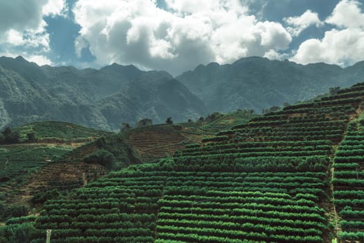 Experience breathtaking views of terraced fields, towering mountains, and dynamic skies for an unforgettable adventure