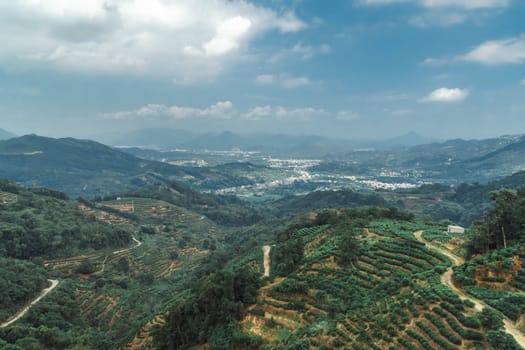 Breathtaking views of endless verdant hills, winding roads, and clear blue skies in this serene landscape