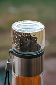 A stylish and elegant glass infuser beautifully showcasing tea leaves, perfect for brewing fresh tea delights