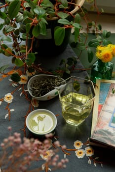 A beautifully serene setup that includes green tea, lush plants, and captivating booksideal for true relaxation