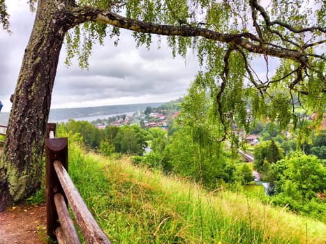 A breathtaking view of Ples, Russia, reveals greenery, a scenic river, and charming buildings nestled among rolling hills and overcast skies.