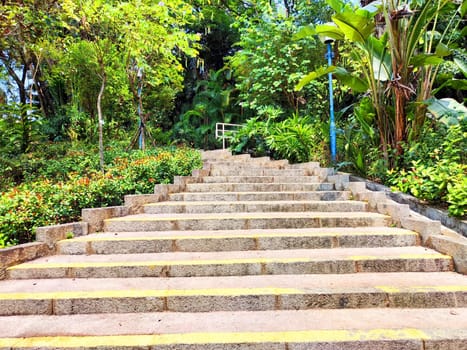 Stone steps lead through vibrant foliage in a park, inviting visitors to explore the natural surroundings under bright daylight.