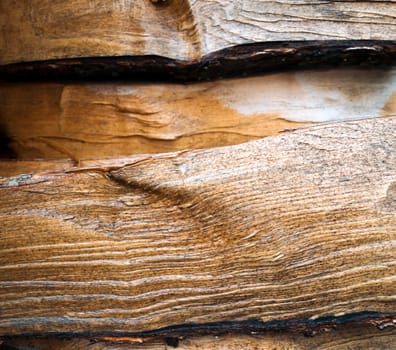 Old tree, logs, firewood harvested for the winter for the heating season, a beautiful background with textured wooden boards close-up.