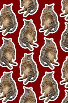Collage cat Funny cat on red background. Seamless repeating pattern