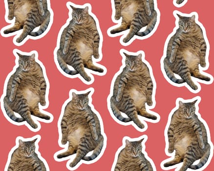 Collage cat Funny cat on red background. Seamless repeating pattern