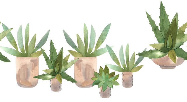 Succulents in pots. Home gardening as a hobby. Seamless border for interior design or web design