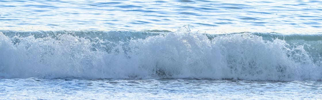 Breaking wave banner image.