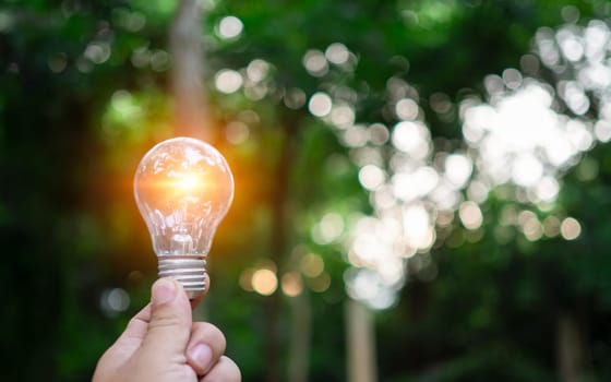 Human hand holds a light bulb with natural bokeh background. Idea, innovation and inspiration concept, creative concept,  earth day or protection of environment, save energy of the world.