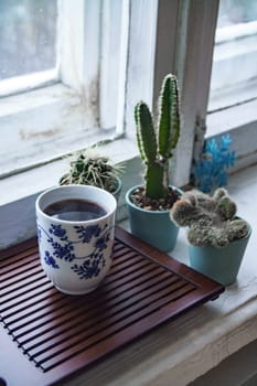 A beautifully calming scene showcasing cacti, a cup of tea, and warm, inviting natural light streaming in by the window