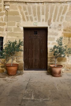 A charming rustic wooden door framed by a stone wall, flanked by two potted trees, conveying elegance and tranquility.