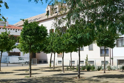 A peaceful courtyard in the city featuring vibrant greenery and sunlight, offering a serene escape from the urban environment.