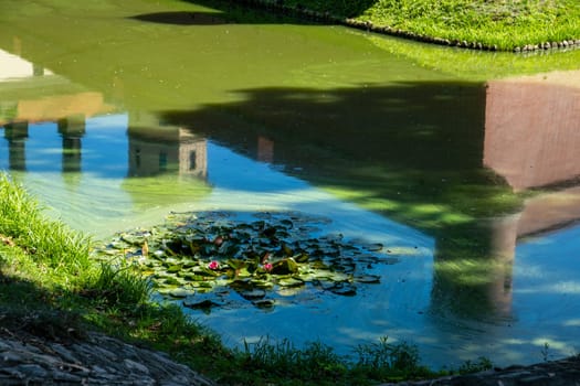 A pond reflects buildings among green lily pads. Tranquility and natural beauty.