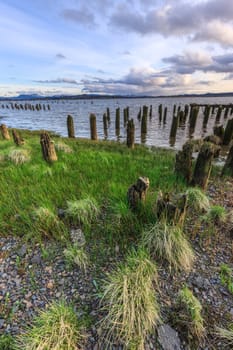 Grass clumps lead the eye out to the water in Astoria, Oregon.