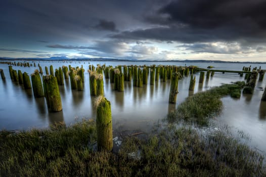 A long exposure image of grass and moss covered pilings at sunset in Astoria, Oregon.