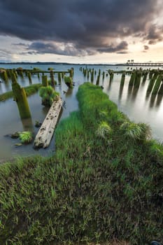 A long exposure image of grass and moss covered pilings at sunset in Astoria, Oregon.