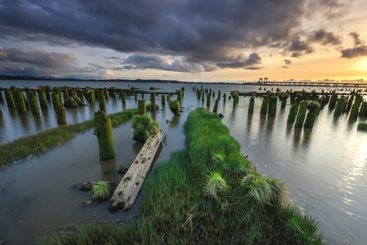 A long exposure image of grass and moss covered pilings at sunset in Astoria, Oregon.