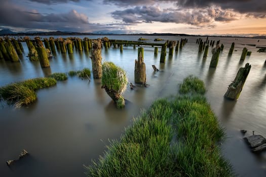 A long exposure image of grass and moss covered pilings at sunset in Astoria, Oregon.