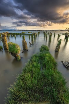 A long exposure image of grass and moss covered pilings at sunset in Astoria, Oregon.