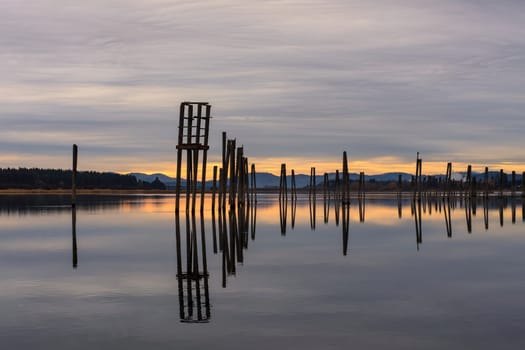 Tall wooden pilings lineup along the calm Pend Oreille River at Cusick, Washington.