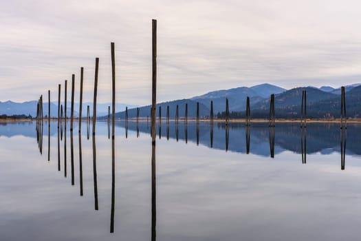 Tall wooden pilings lineup along the calm Pend Oreille River at Cusick, Washington.