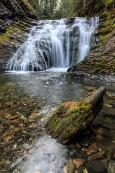 A close up of a clear stream at lower Sweetcreek Falls near Metaline, Washington.