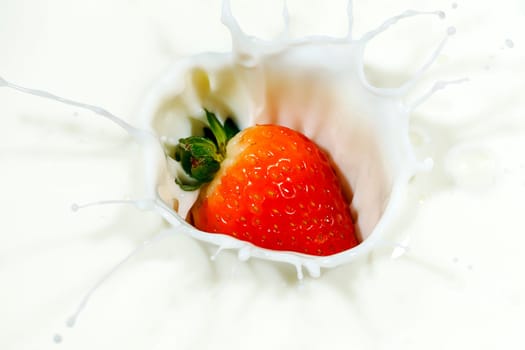 A ripe red strawberry is dropped into milk and makes a nice splash.
