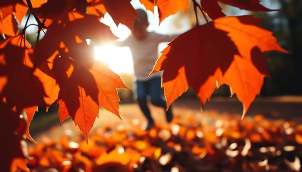 Vibrant autumn leaves frame a serene park scene. A lone figure, blurred, walks towards the radiant sunset, evoking a peaceful, reflective mood. The ground glows with fallen leaves, capturing the essence of fall.
