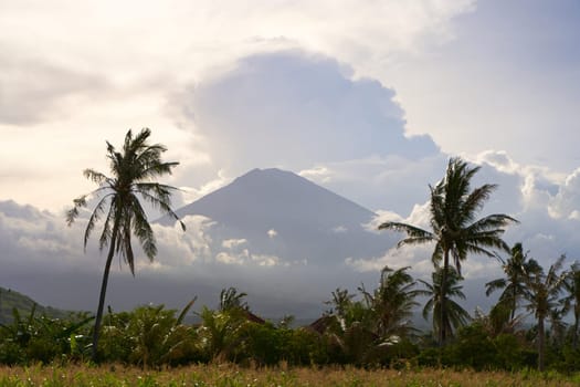 View of the mountain against a background of palm trees and a cornfield. Panorama of Agung volcano covered with clouds before sunset