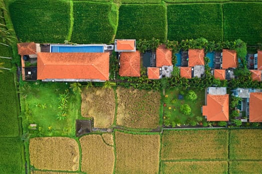 An aerial view of buildings in a rice field. A hotel complex with villas on a paddy plantation on the island of Bali