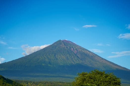 Panorama of Mount Agung and rice fields on the island of Bali. View of the mountain against a background of palm trees and a cornfield. Panorama of Agung volcano covered with clouds on a sunny day